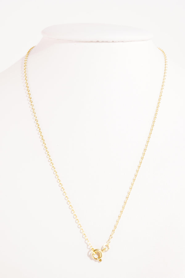 Zlatý Řetízek, 2.91 g