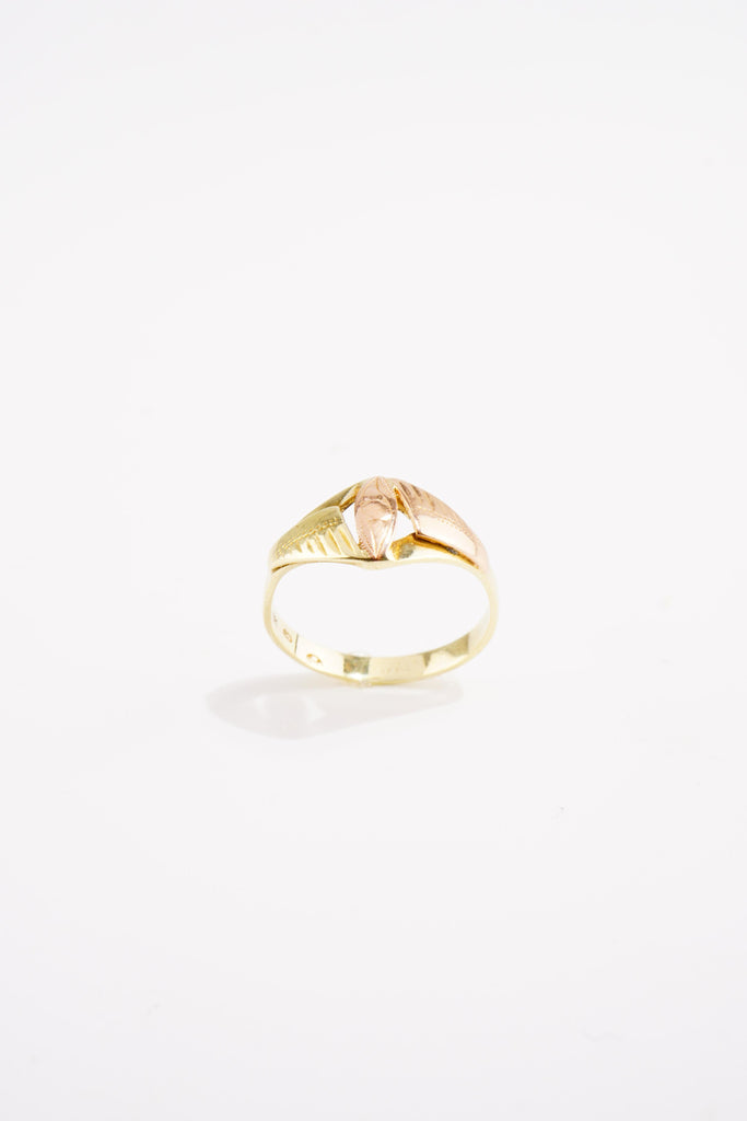 Zlatý Prsten, 1.36 g
