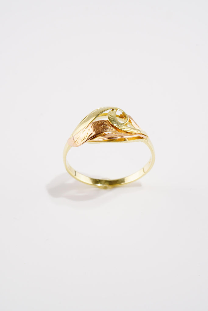 Zlatý Prsten, 2.22 g